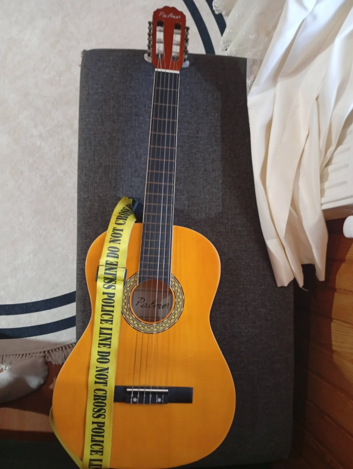 Takasly | Palmer Gitar